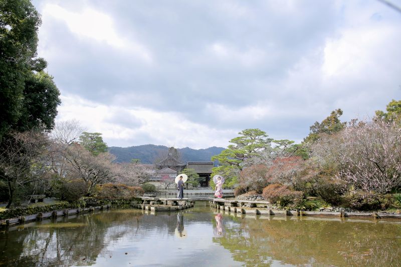 梅宮大社の広大なお庭つくりは圧巻です!