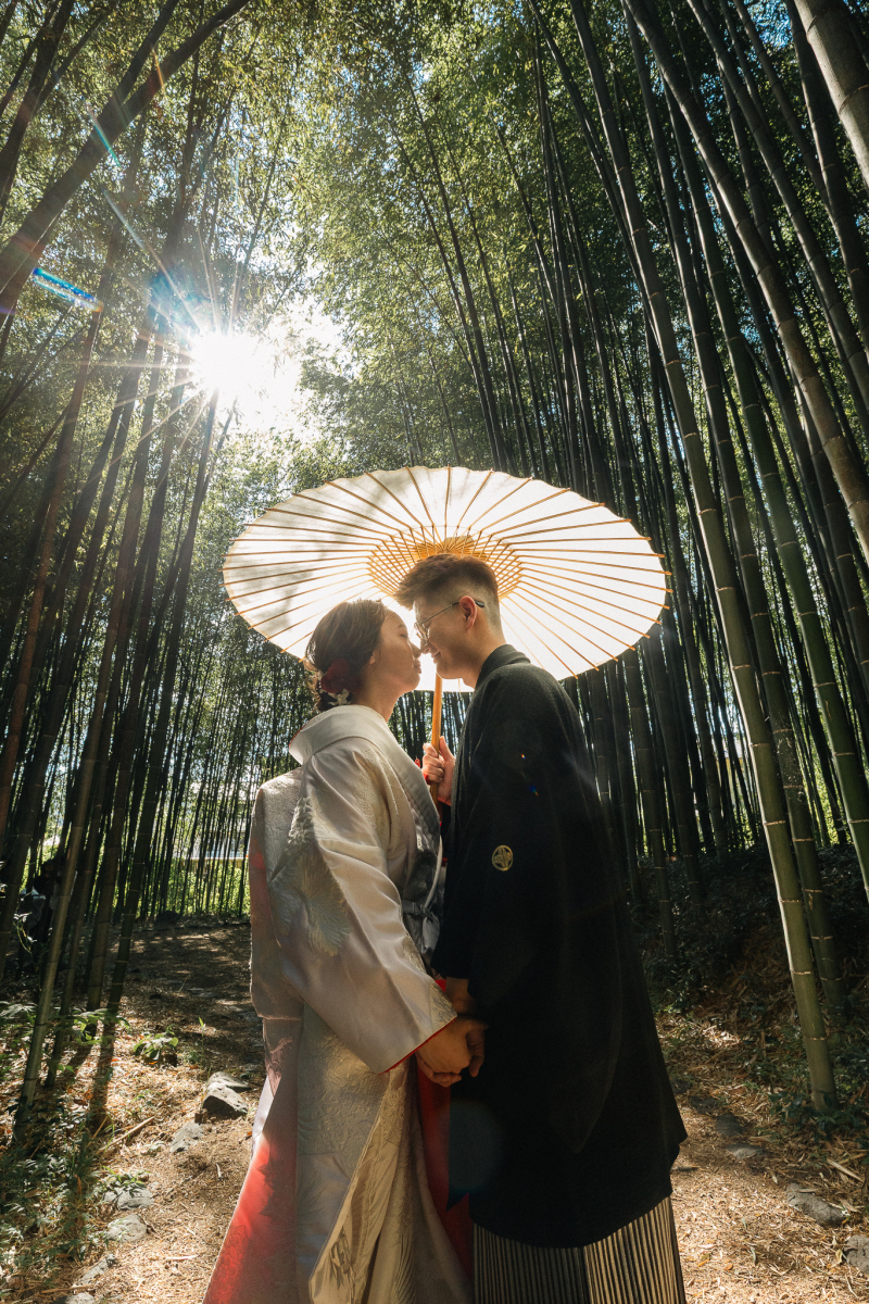 大覚寺にも竹林が。