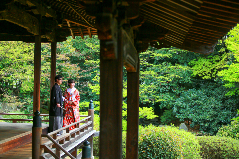 心洗われるほどの緑。