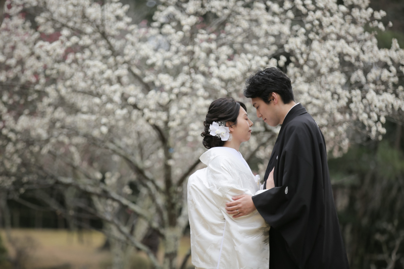 縁起の良いお花、梅と一緒に撮影♪