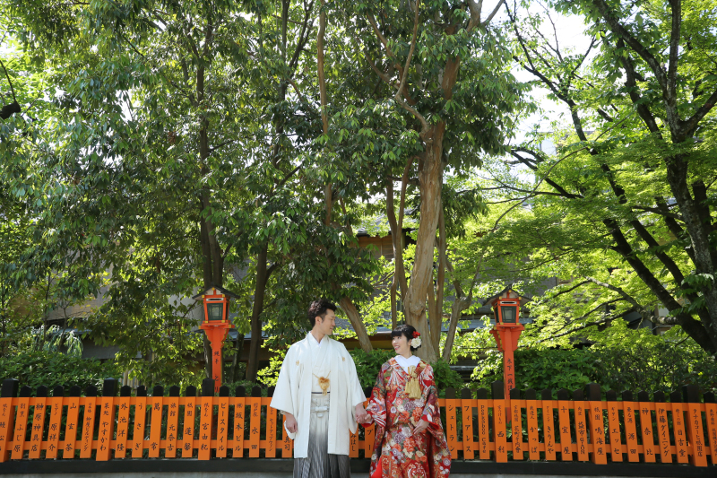 新緑の光の中で