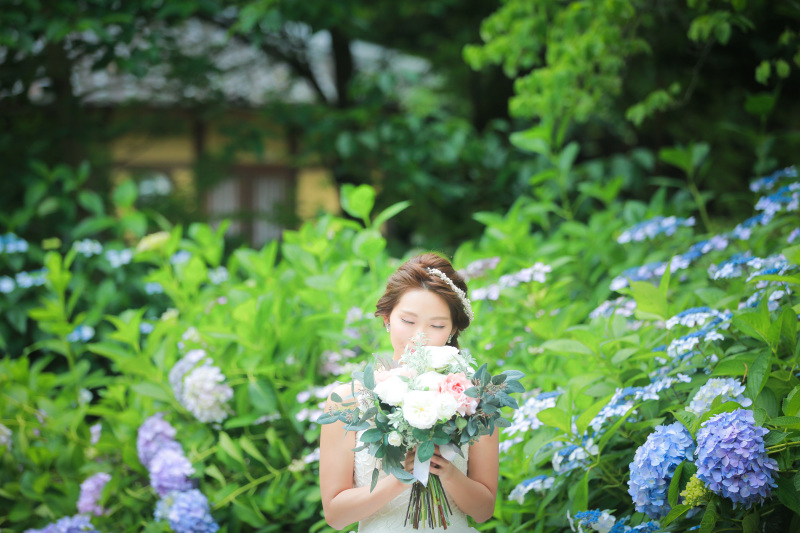 紫陽花に囲まれて