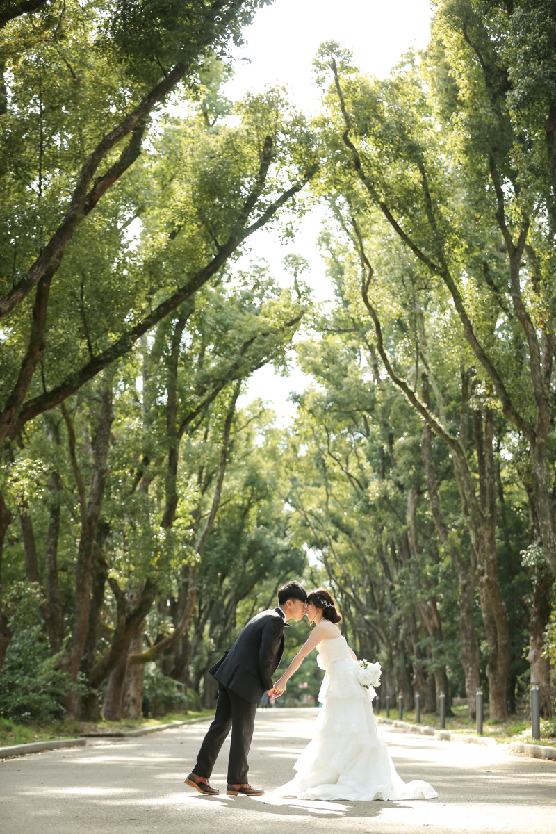 光がとても綺麗でした