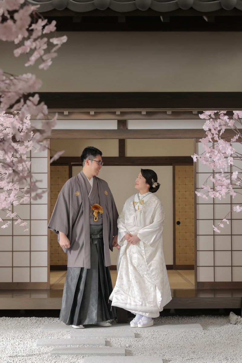 桜に囲まれて♪