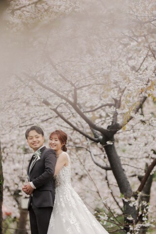 桜時期での円山公園ロケーション