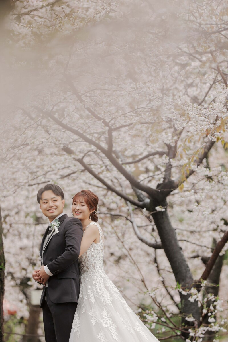 桜時期での円山公園ロケーション
