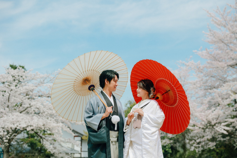 予約はいってきております♪桜撮影