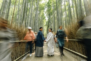 嵐山で自然と一緒に撮影
