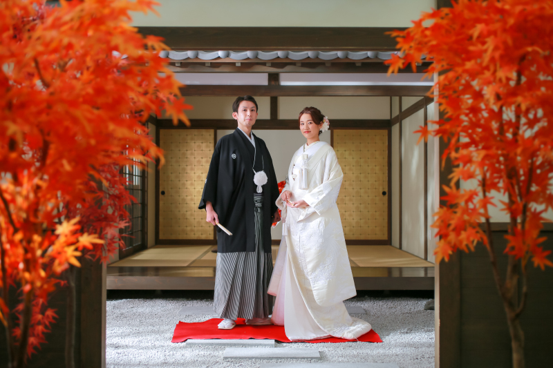 屋内庭園でキリッ。