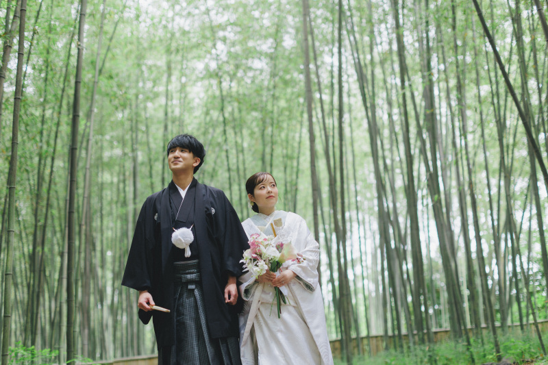 少し移動して竹林で