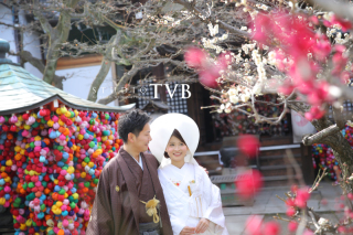 京都散策×梅の花