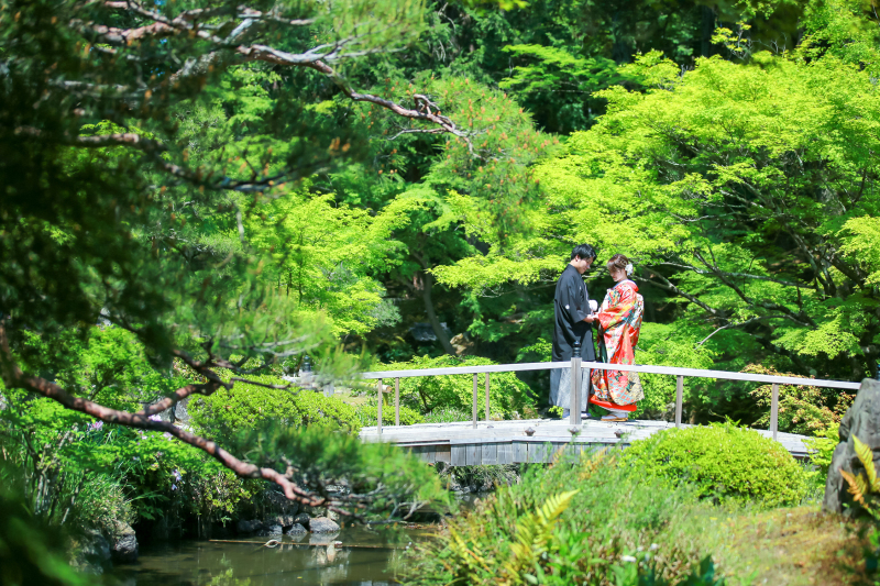 お庭の緑がとっても鮮やか。
