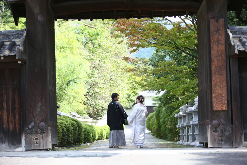 まだまだ緑が綺麗な時期です♪