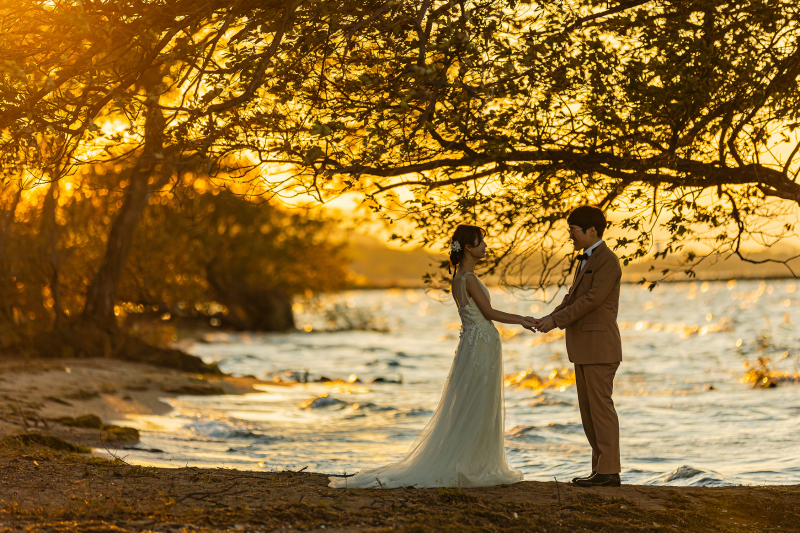 サンセットも秋のススキも羊さんともたくさん撮影できました!!