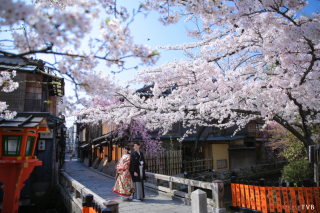 桜の祇園　2018