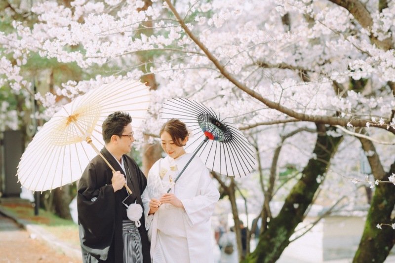 和傘をさして桜並木をお散歩♪