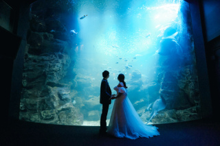 水族館で幻想的な写真を　京都水族館ロケーション