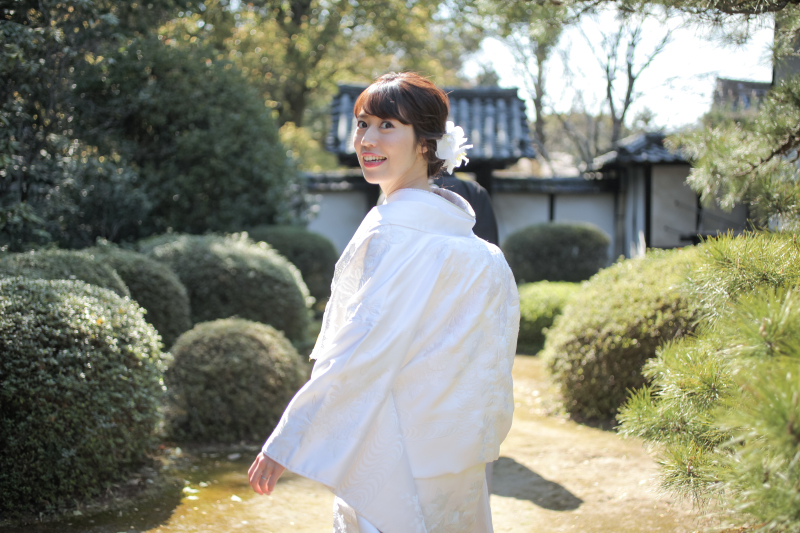 ころんとした植木がお出迎え♪