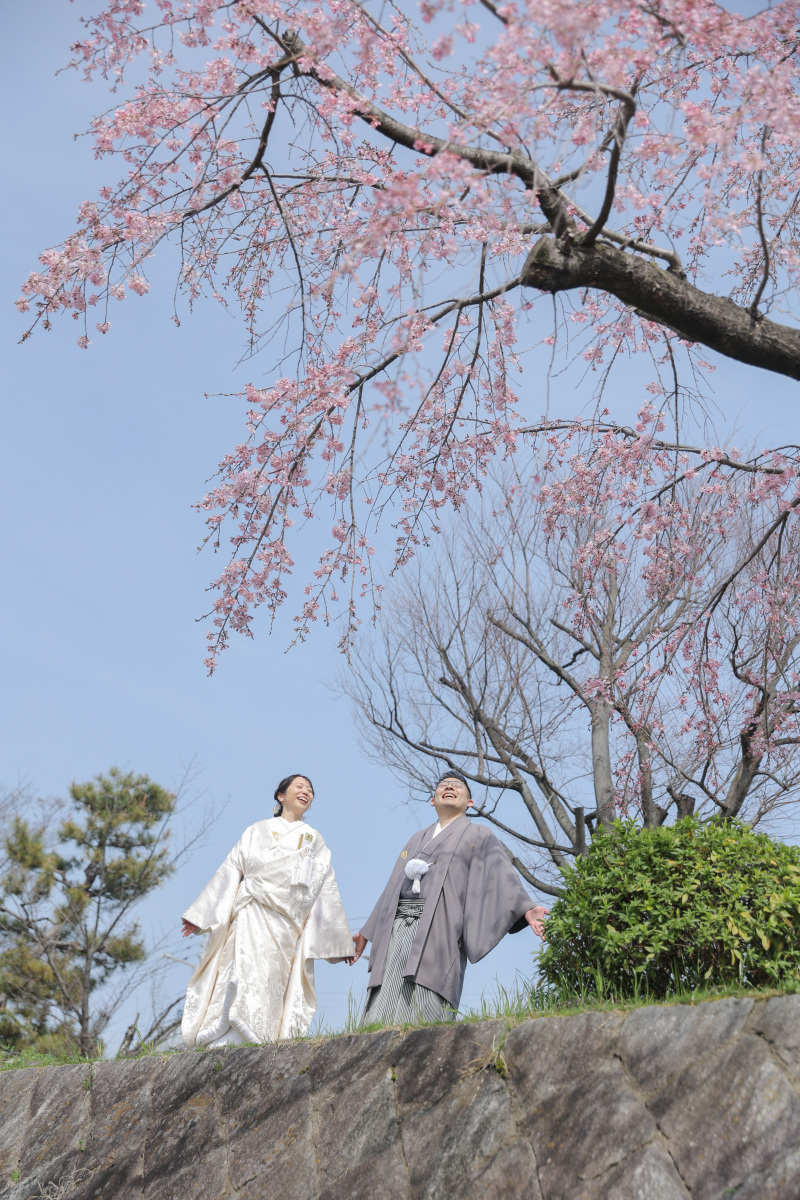 桜のきれいな鴨川で