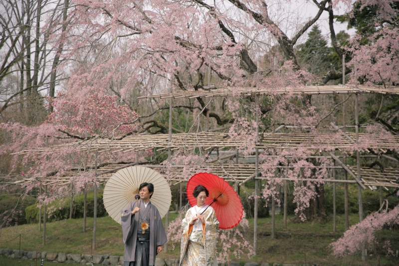 和傘でよりしっとりと…