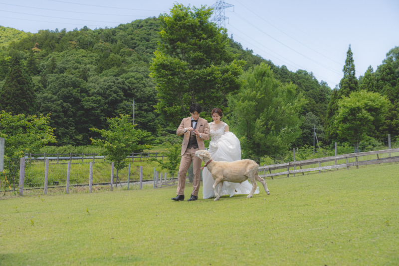 新郎様が羊さんのお菓子を持っています。