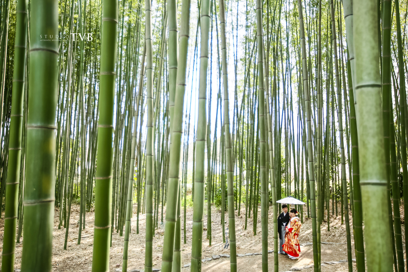 平安からの歴史の長さを感じられる竹林。