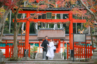 大人気の秋！オススメの大原野神社ロケレポート♪