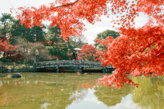 京都の街並みと自然を堪能！八坂+円山公園ロケーション