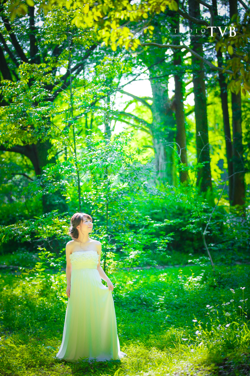 本当に絵本みたいでした♪