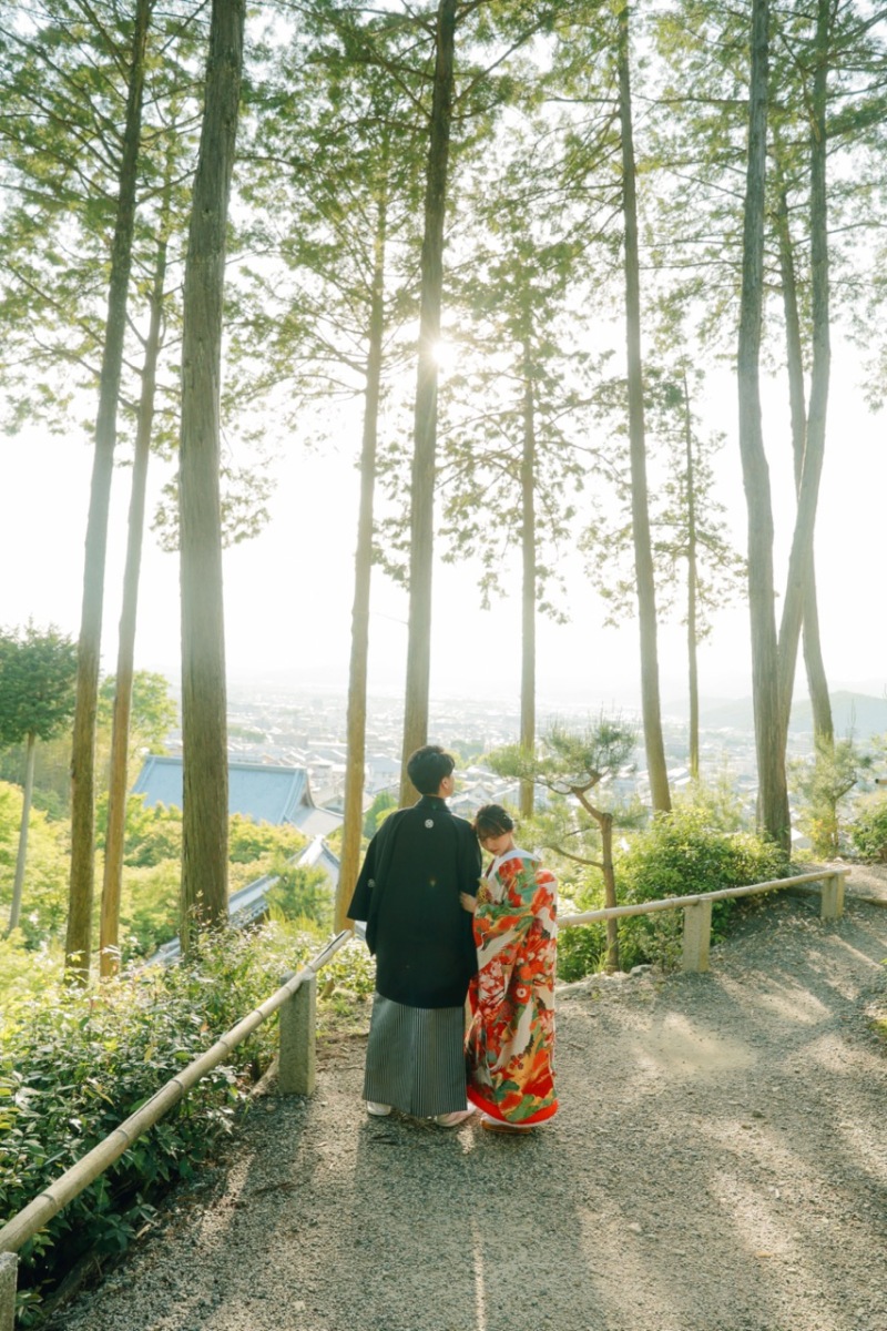 見渡せば、、、