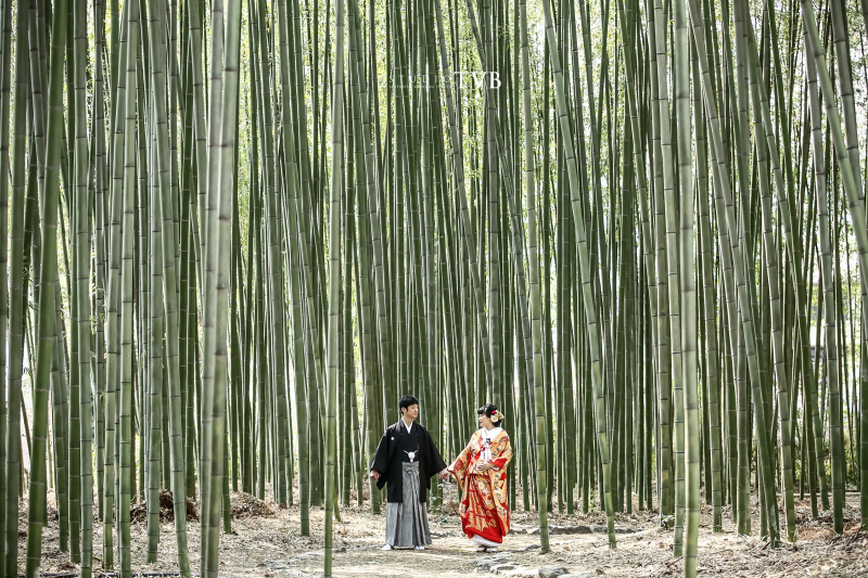 嵯峨大覚寺フォトで大人気の竹林です!