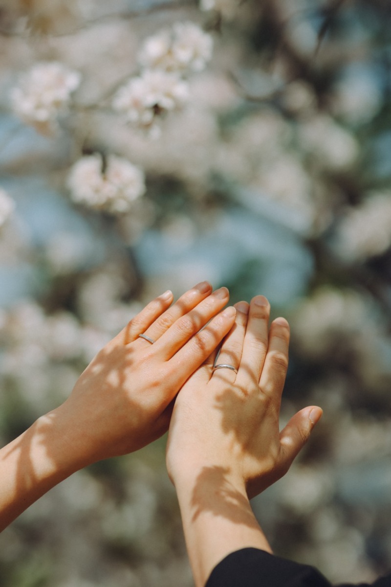 桜の影を使って♪