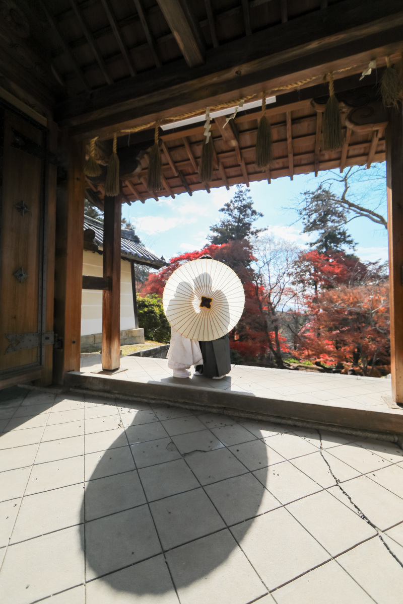 シルエットのお写真も