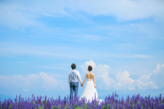 STUDIO TVB 京都店（スタジオTVB）