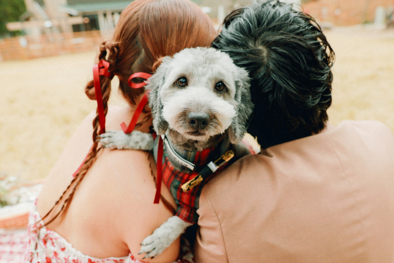 ペットメインも撮影しちゃいます♪