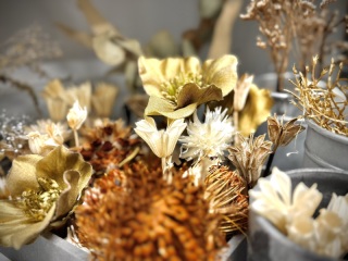 ドライフラワー髪飾り