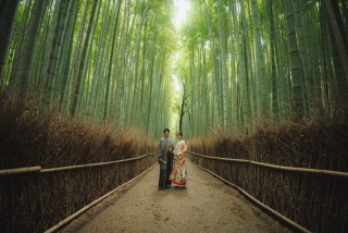 ロケーション（49800円コース）全データ