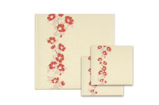 友禅（30p60cut /ミニアルバム2冊付き）