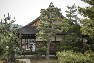 STUDIO TVB 京都店(スタジオTVB)_冬ロケ