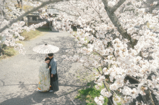 STUDIO TVB 京都店(スタジオTVB)_春ロケ