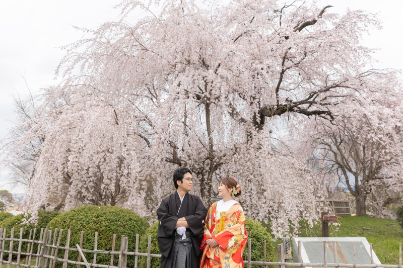 春限定プラン◆桜と撮影!【円山公園ロケーション】たっぷり150カット以上データ◇美肌小顔レタッチ付