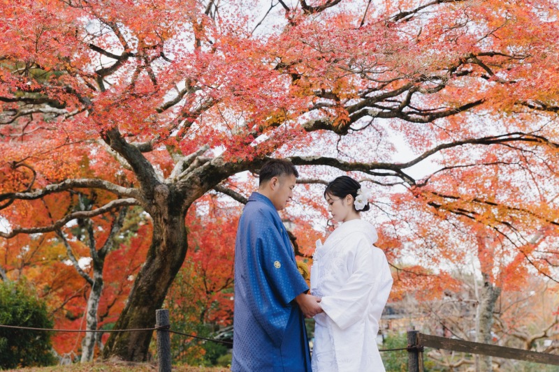 11月15日までの得々プラン◆秋ロケーション撮影【円山公園ロケーション】たっぷり150カット以上データ◇美肌小顔レタッチ付