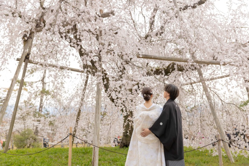 春限定プラン◆桜と撮影!【円山公園ロケーション】たっぷり150カット以上データ◇美肌小顔レタッチ付