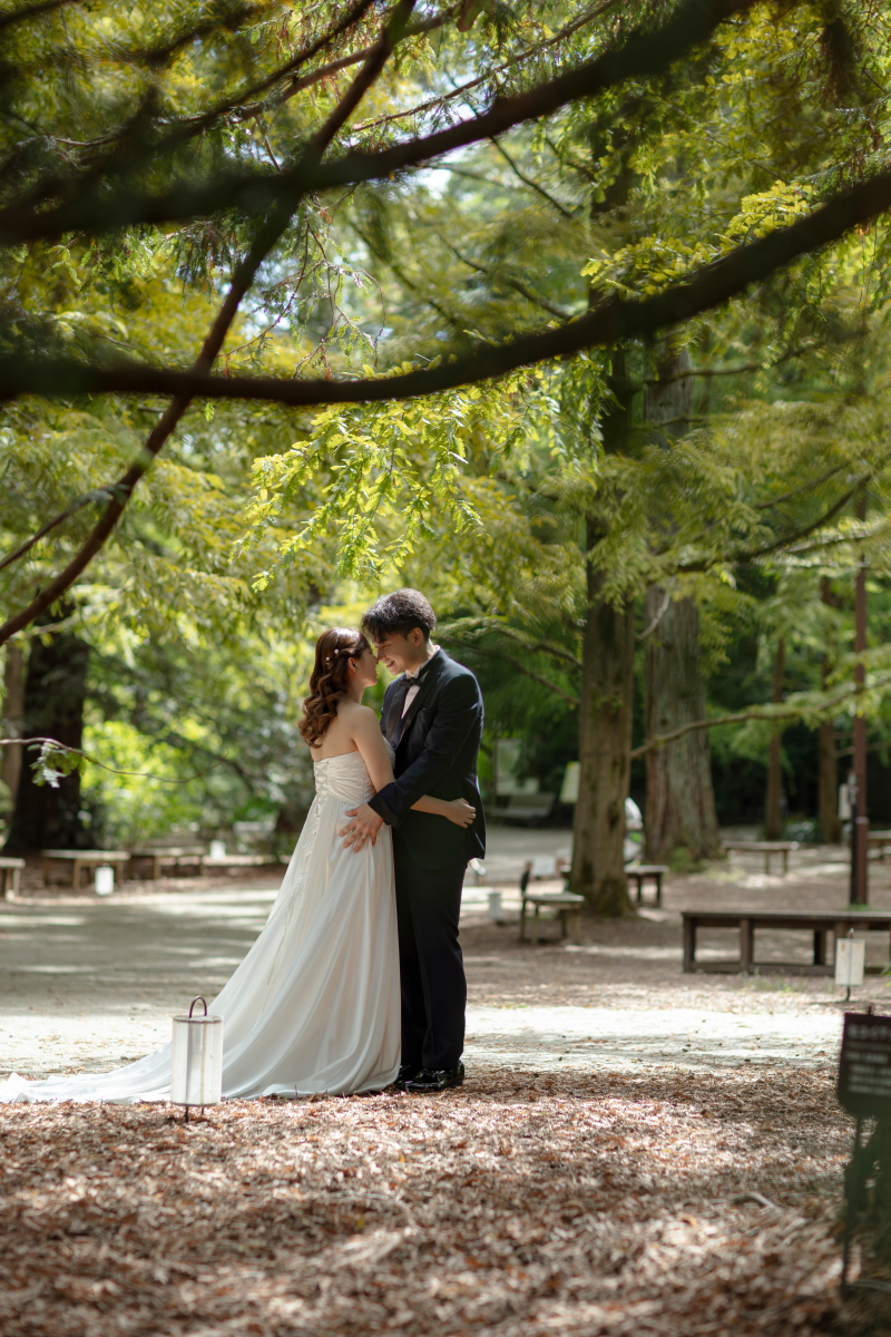 木陰からのロマンティックな雰囲気