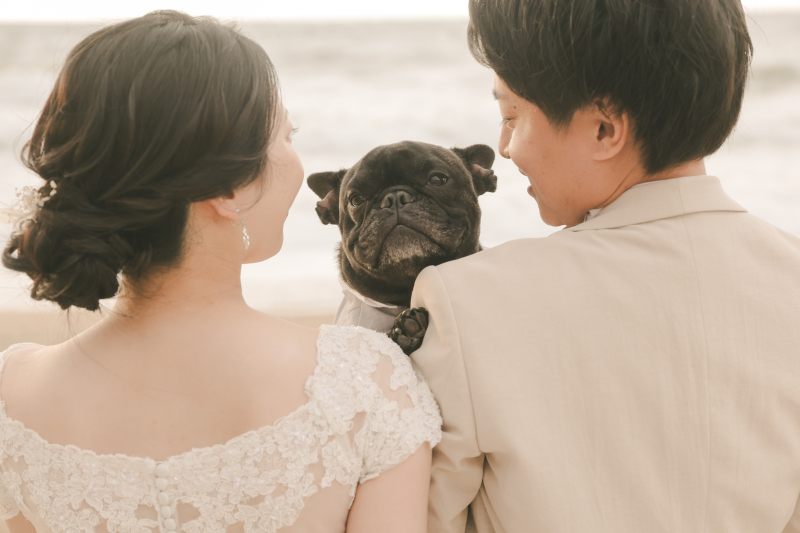 お次は慶野松原へ！