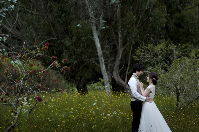 新緑のシーズン