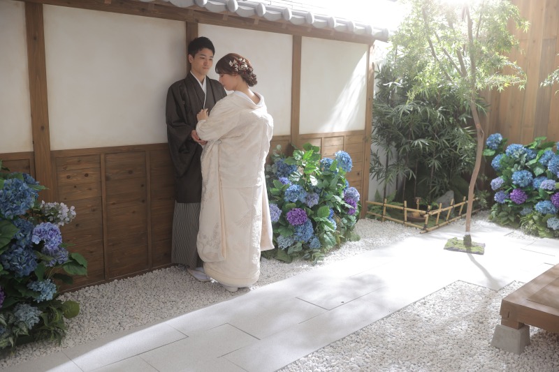 屋内庭園スタジオの紫陽花