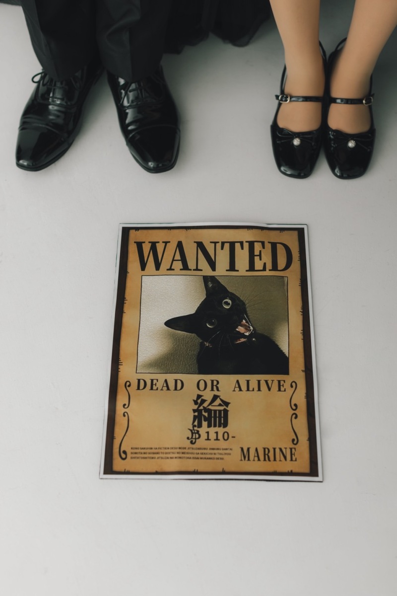 お二人の愛猫ちゃん