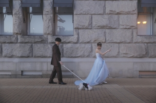 ワンちゃんと居留地ロケーション