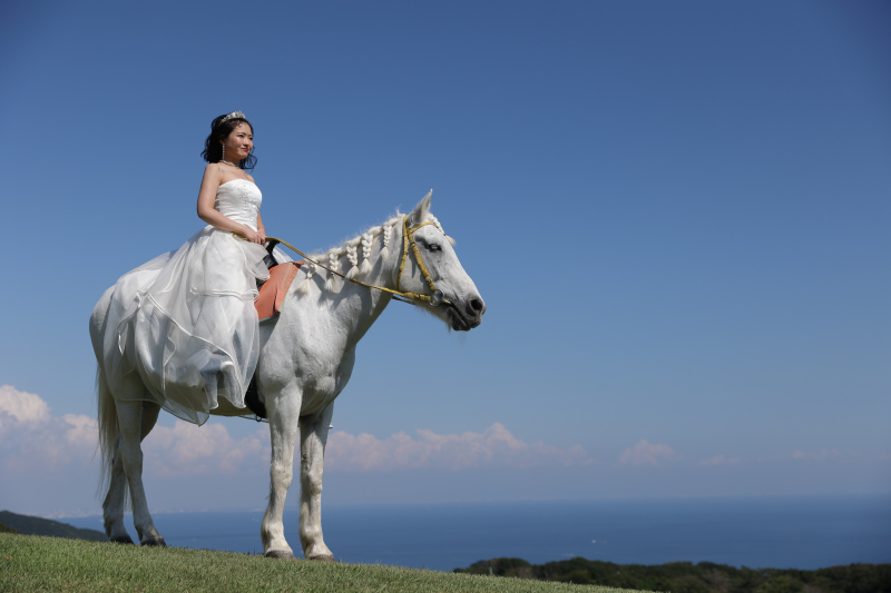 新婦様と白のお馬さん!
